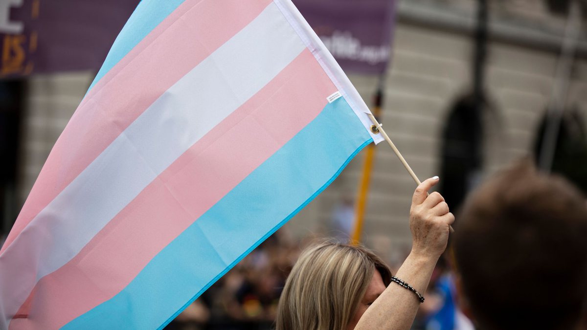 Cotas para transexuais: mulher segura bandeira trans - Divulgação
