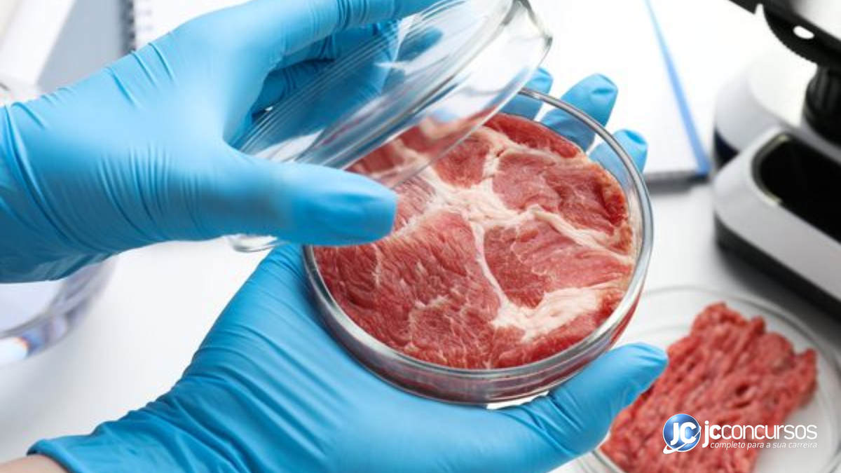 Carne produzida em laboratório