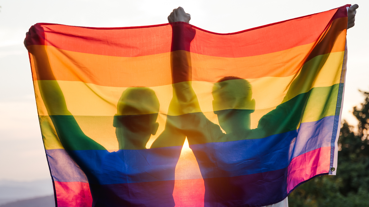 Casal gay de mãos dadas seguram a bandeira LGBTQIAPN+ - Divulgação