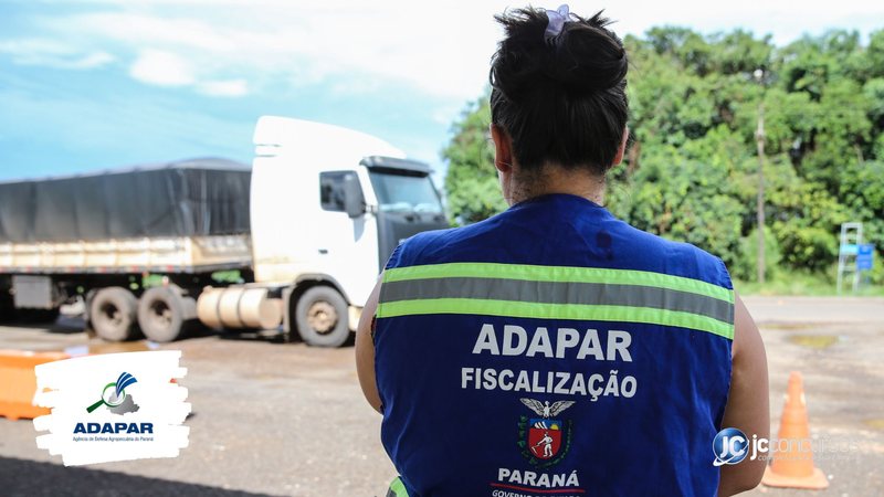 None - Concurso Adapar: servidores do Adapar Divulgação