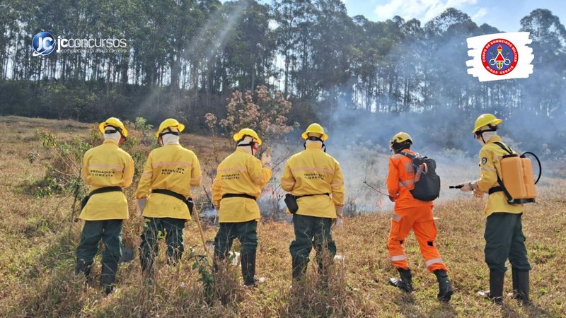 Processo seletivo dos Bombeiros MG: brigadistas de costas - Divulgação