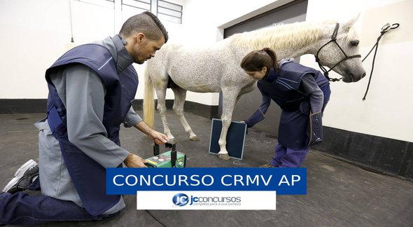 Concurso CRMV AP: profissionais na sede do Conselho - Divulgação