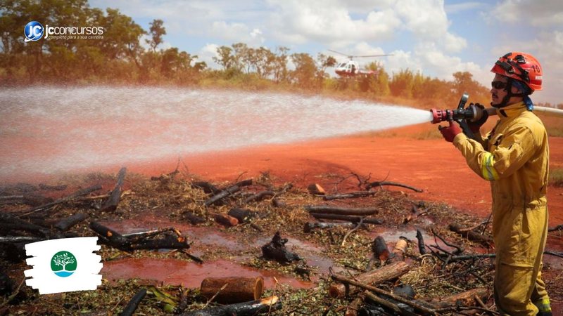 Processo seletivo da Fundação Florestal de São Paulo: entidade vai ganhar reforço de pessoal com nova seleção