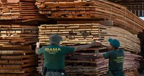 Concurso do Ibama: servidores usam trena para medir madeira ilegal apreendida - Divulgação