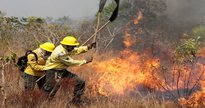 Processo seletivo do Ibama: brigadistas tentam controlar incêndio em mata - Divulgação