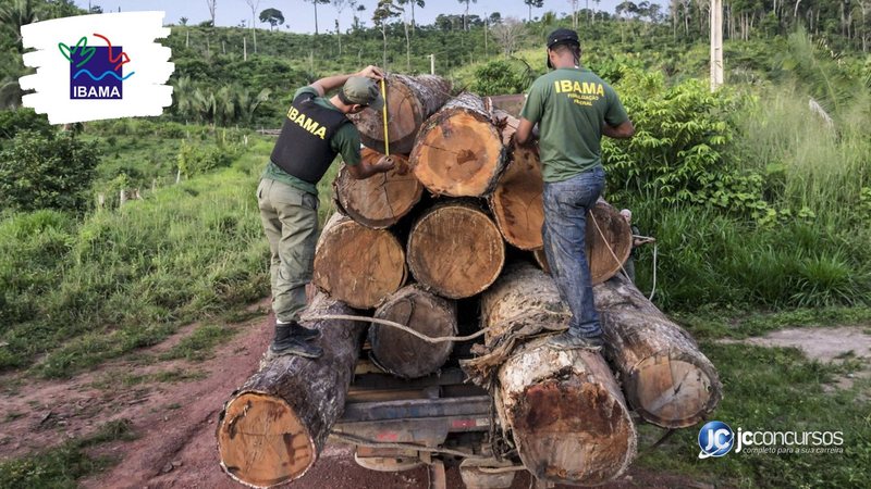 Concurso do Ibama: servidores inspecionam carga de madeira apreendida - Foto: Divulgação