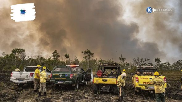 Processo seletivo do Ibama: instituto vai ganhar reforço de pessoal com nova seleção