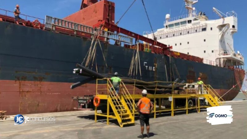 Processo seletivo OGMO Itajaí SC: órgão irá ganhar reforço de pessoal - Foto: Divulgação/ Porto de Itajaí
