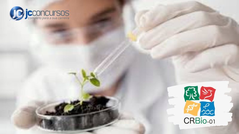 Concurso CRBio 1 SP MT MS: banca contratada para nova seleção