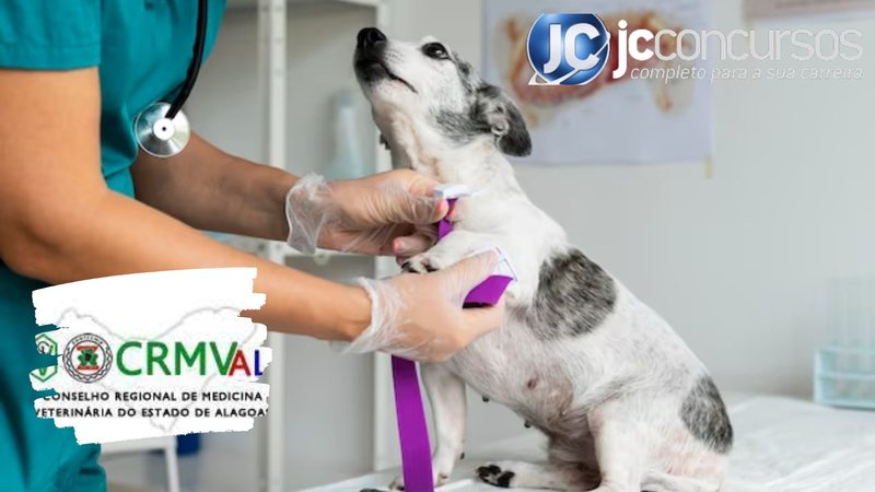 None - Concurso CRMV AL: médico veterinário Freepik