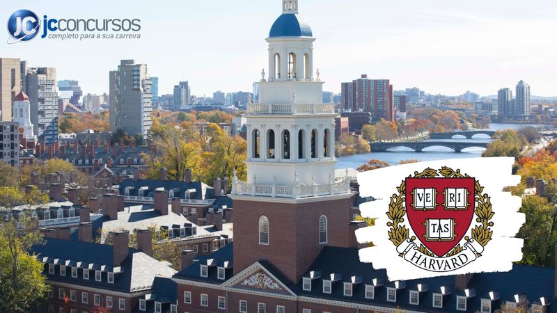 Havard - Curso gratuito de Harvard com certificado - Divulgação Havard
