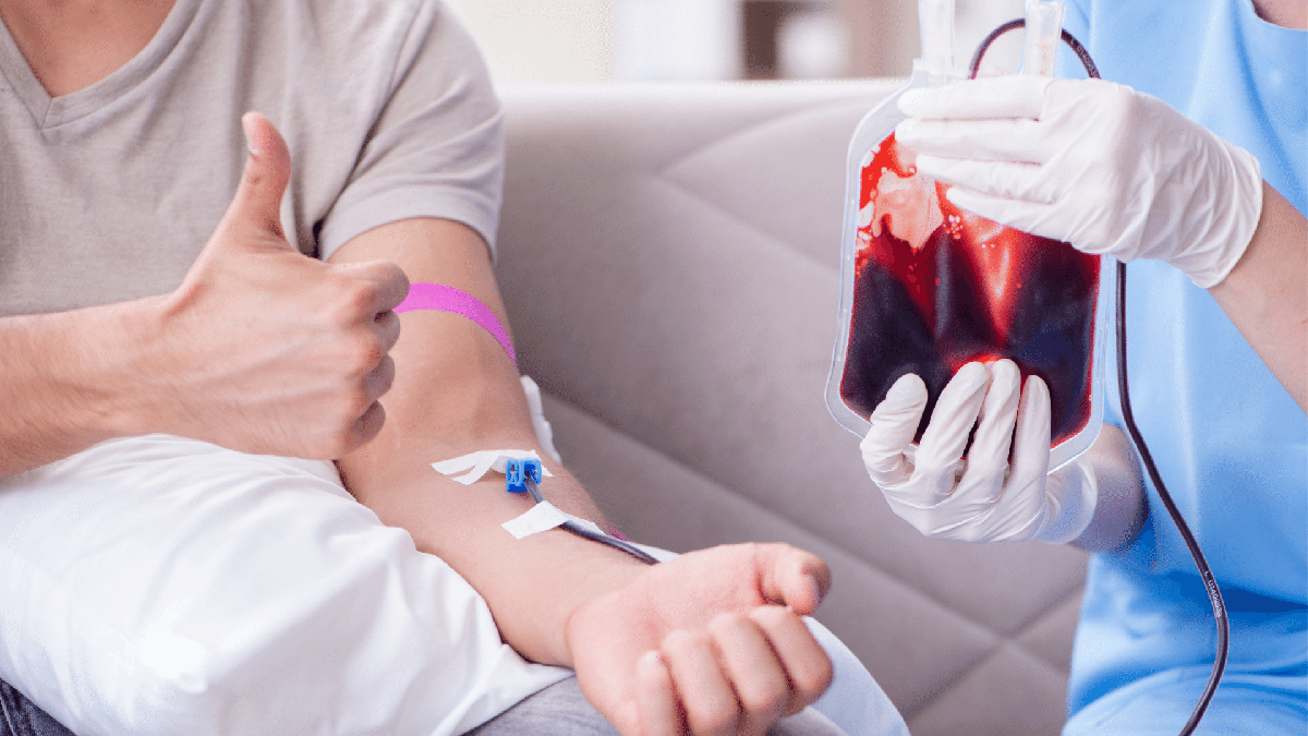 Doar sangue gera folga no trabalho? Enfermeira segura bolsa de sangue - Divulgação