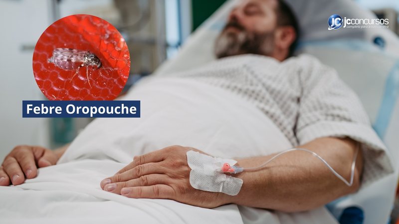 Sintomas da Febre Oropouche são semelhantes aos da dengue e da chikungunya