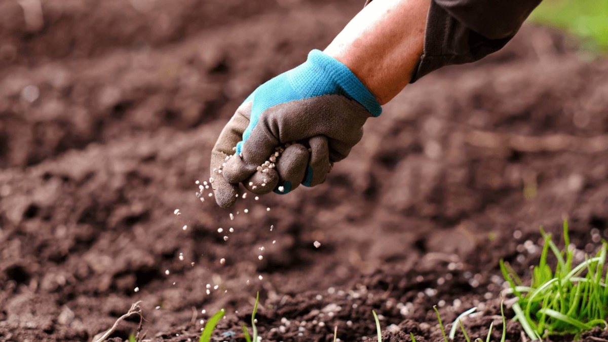 Ministra da agricultura discutiu a importação de fertilizantes de países árabes. - Shutterstock