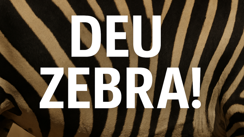 Expressão Popular "Deu Zebra" - Origem e Significado
