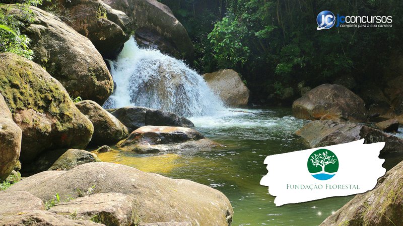 Fundação para a Conservação e a Produção Florestal do Estado de São Paulo - Divulgação