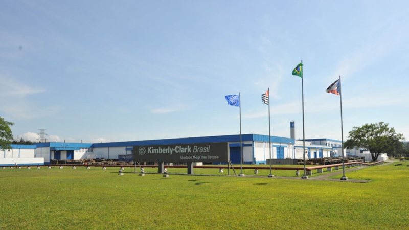 Kimberly-Clark abre processo seletivo para programa de estágio 2024; confira