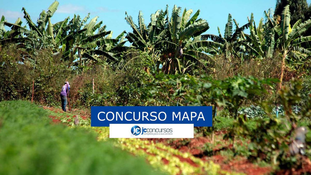 Concurso Mapa : matagal