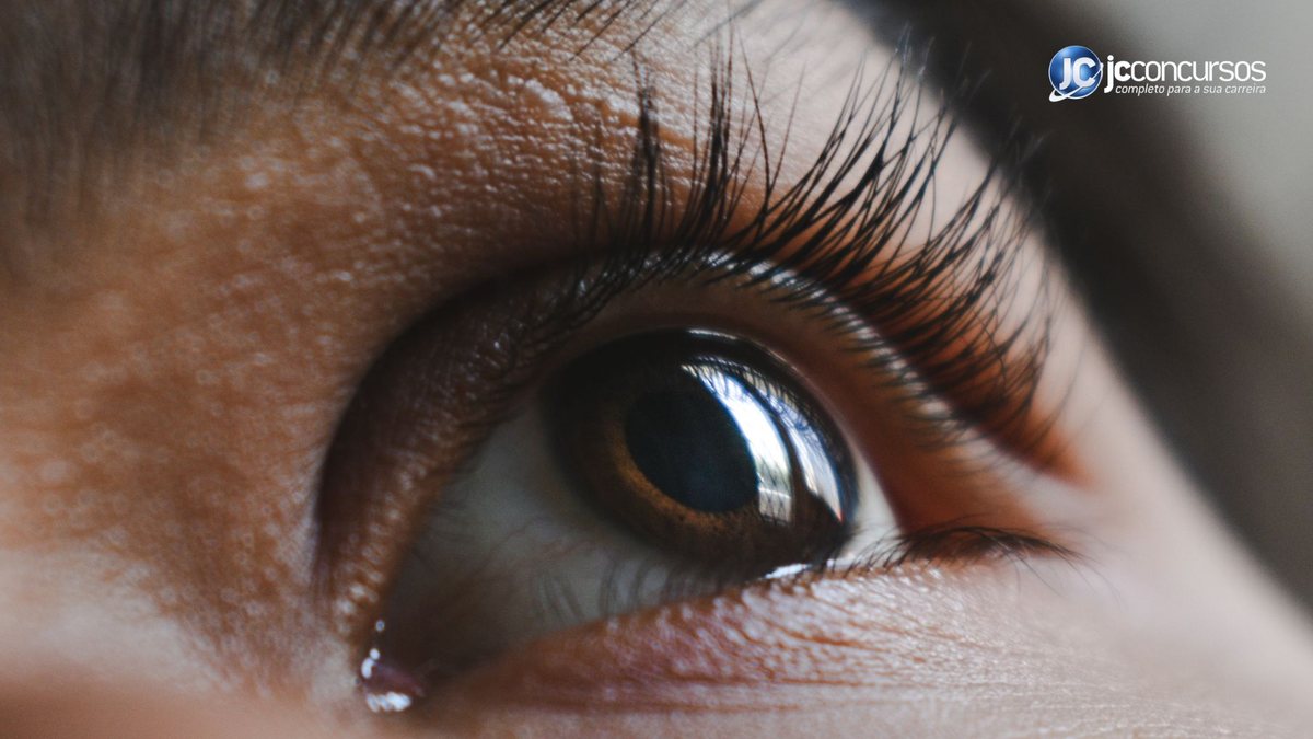 Glaucoma pode levar à cegueira se não houver cuidados e tratamento adequados - Divulgação/JC Concursos