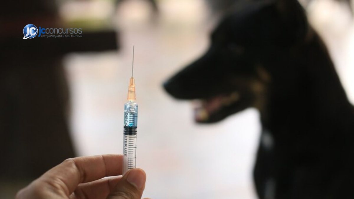 Mão humana segurando seringa contendo um líquido e cachorro desfocado ao fundo | Foto: Freepik - None