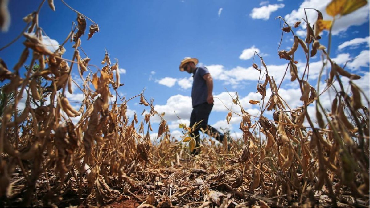 A medida poderá amenizar o impacto da seca em 18 mil agricultores