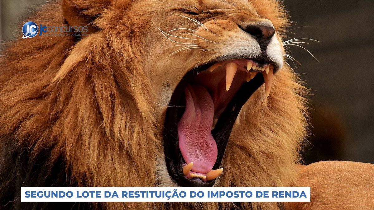 Imagem meramente ilustrativa, um leão abrindo a boca