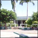 Iracema - Iracema