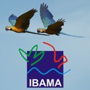 Ibama 2020 Temporários - IBAMA
