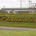 Tarumã - Tarumã