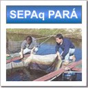 SEPAq - SEPAq