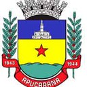 Prefeitura Apucarana (PR) 2022 - Guarda Municipal - Prefeitura Apucarana