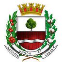 Prefeitura de Ouro Verde (SP) 2022 - Prefeitura Ouro Verde (SP)