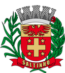 Prefeitura Saltinho SP 2023 - Prefeitura Saltinho (SP)