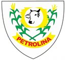 Prefeitura Petrolina de Goiás (GO) - Prefeitura Petrolina de Goiás