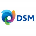 Royal DSM 2023 - DSM