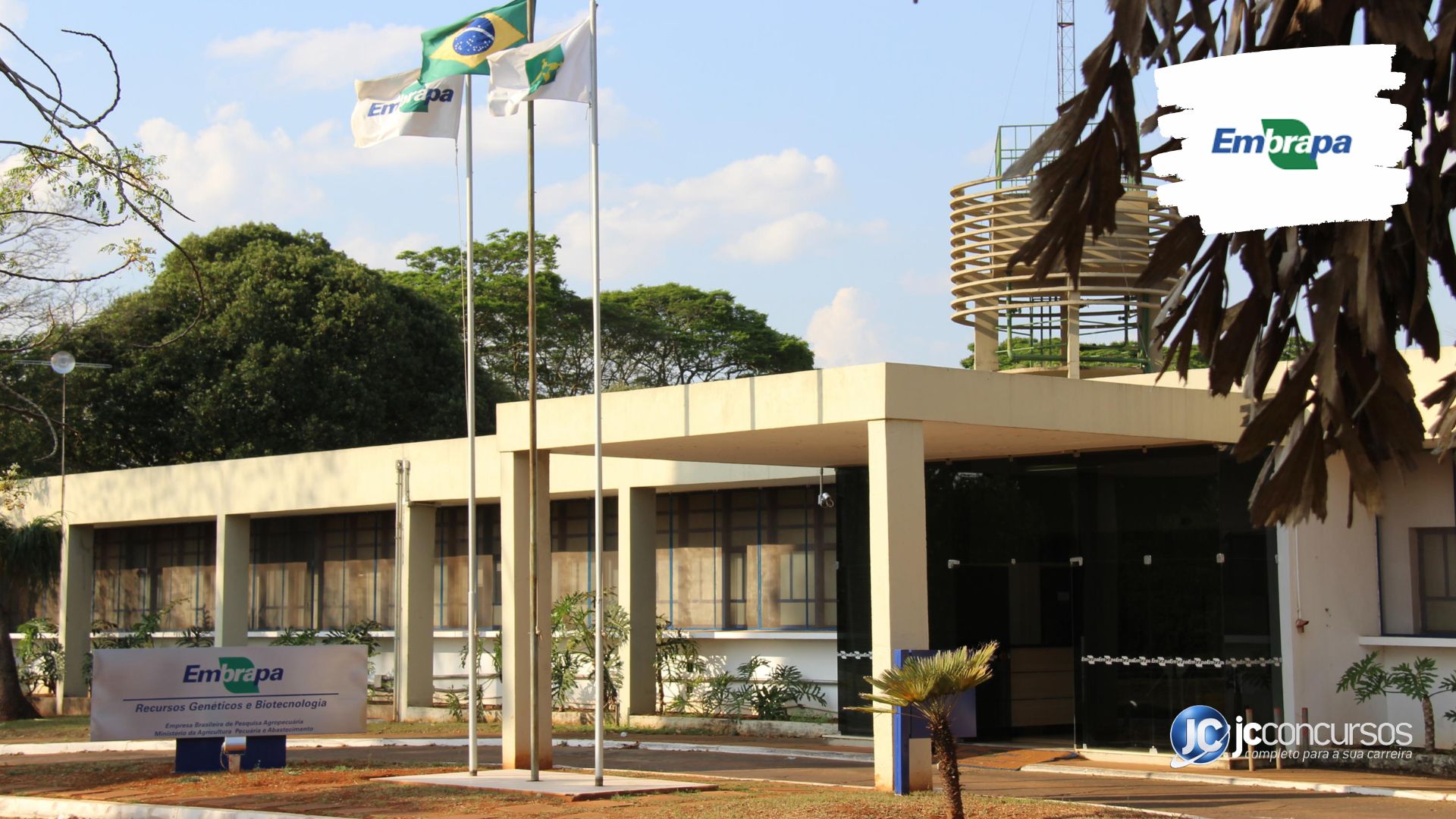 Embrapa Rj Concurso da Embrapa: saiba como e quem pode se inscrever de graça