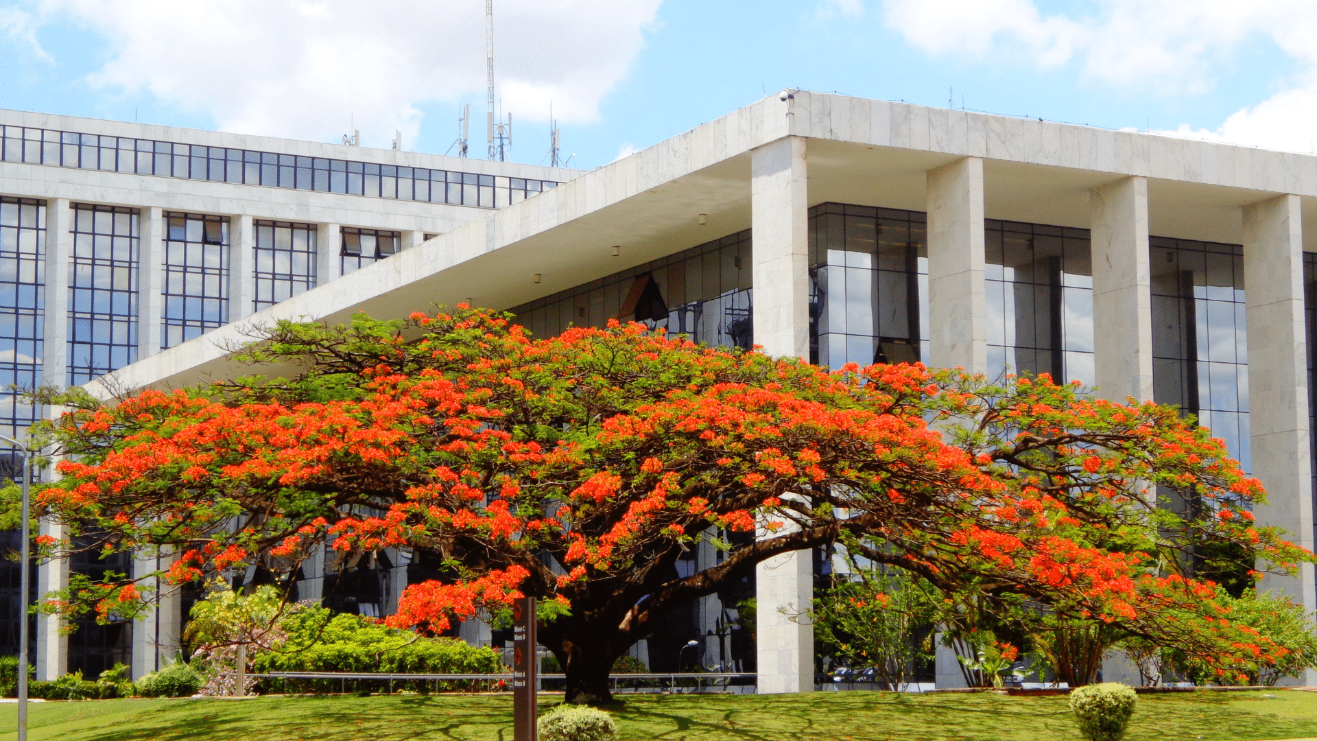 Citação — Tribunal de Justiça do Distrito Federal e dos Territórios